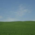 Toscana 2008 - Le Crete senesi